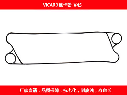 V45 国产板式石榴视频APP污密封垫片