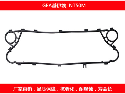 NT50M 国产板式石榴视频APP污密封垫片