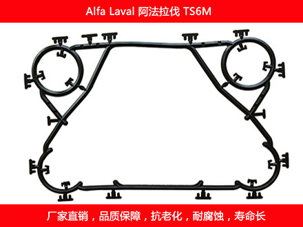 TS6M 国产板式石榴视频APP污密封垫片