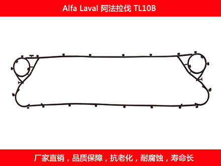 TL10B 国产板式石榴视频APP污密封垫片