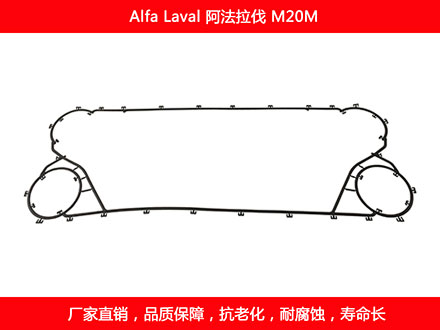 M20M 国产板式石榴视频APP污密封垫片