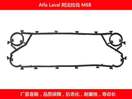 M6B 国产板式石榴视频APP污密封垫片