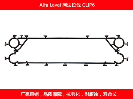 CLIP6 国产板式石榴视频APP污密封垫片